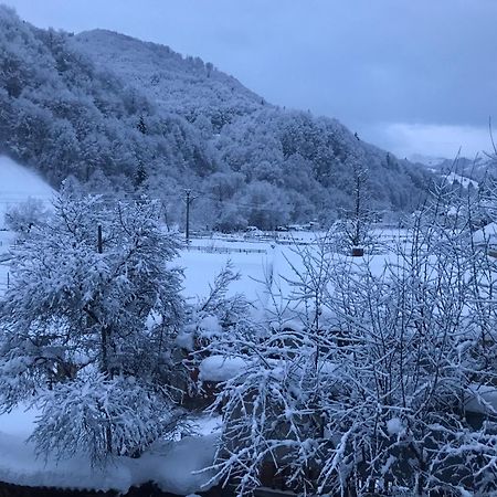 Pensiunea Grapini Sant Exteriör bild