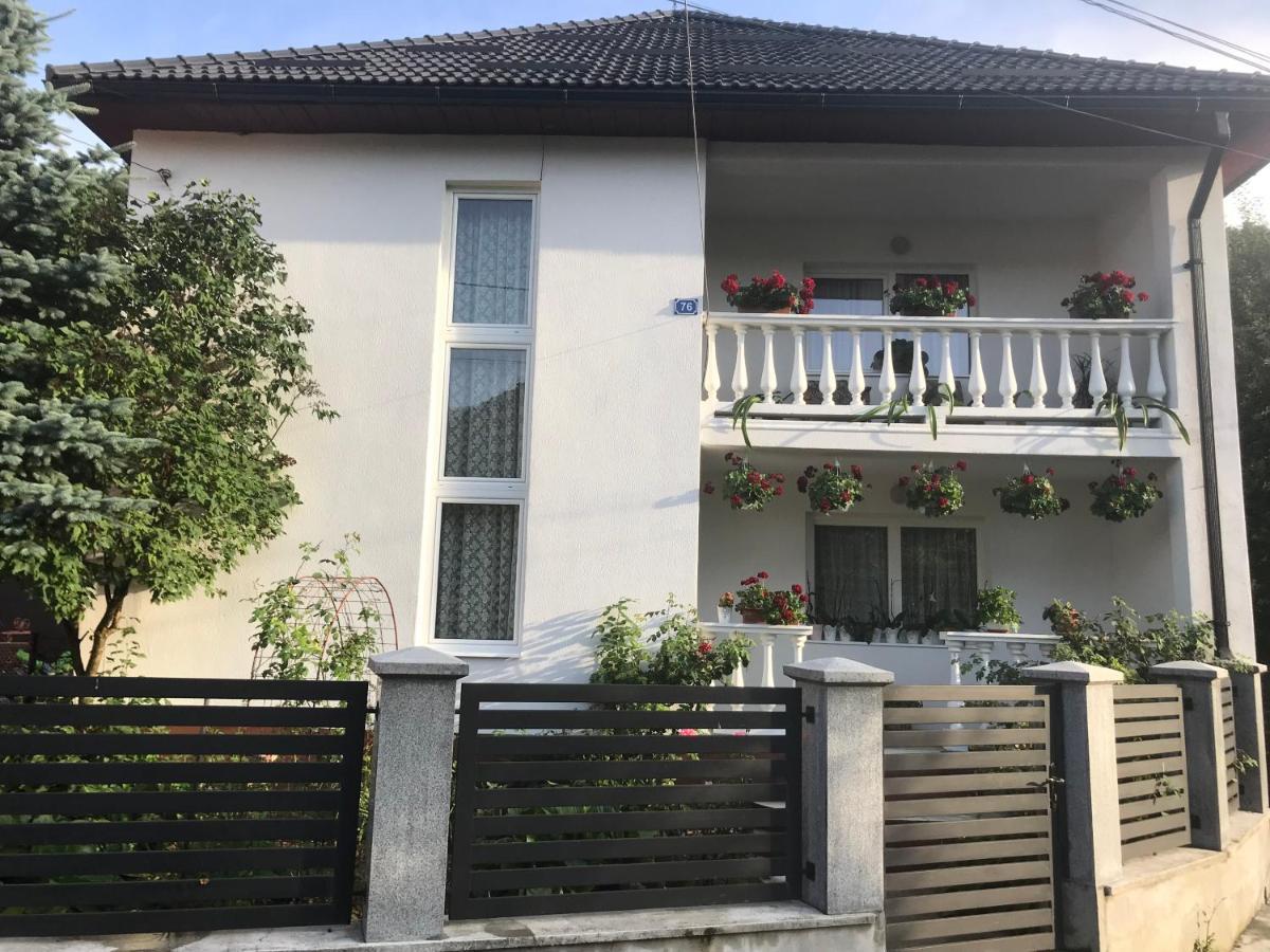 Pensiunea Grapini Sant Exteriör bild
