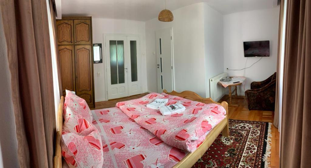 Pensiunea Grapini Sant Exteriör bild