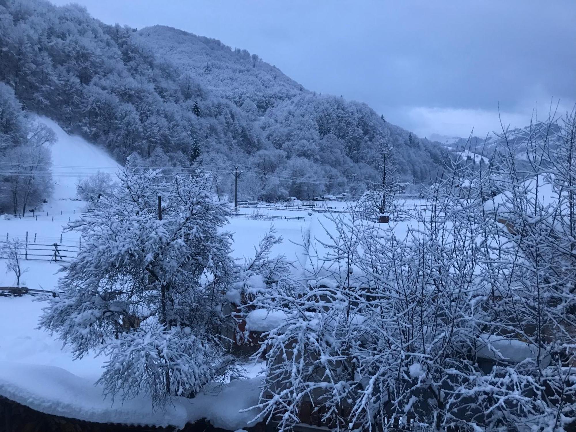 Pensiunea Grapini Sant Exteriör bild