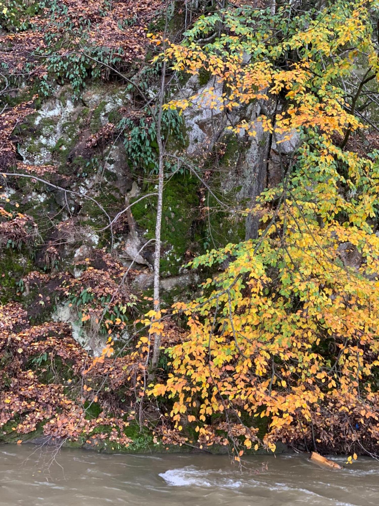 Pensiunea Grapini Sant Exteriör bild